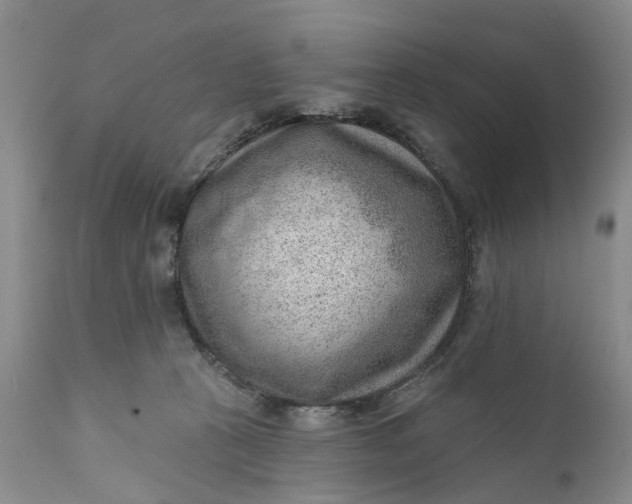 X0000111040273200907091616