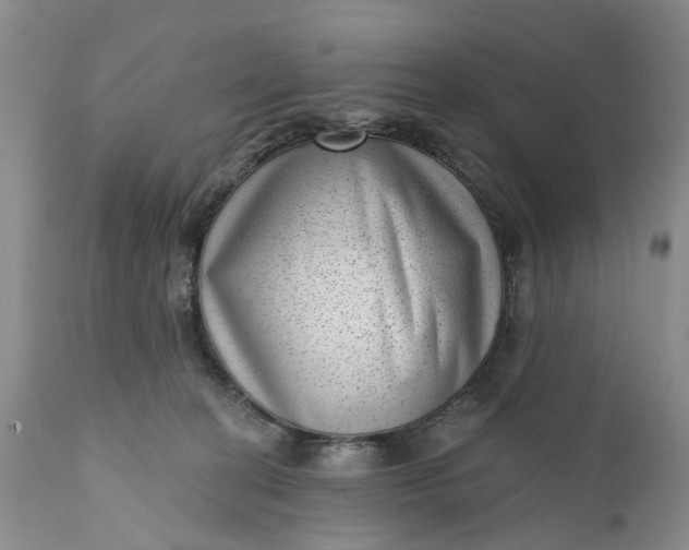 X0000111040274200907091616