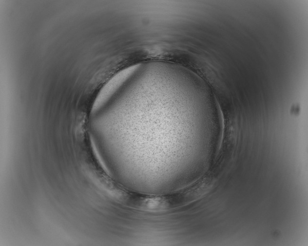 X0000111040275200907091616