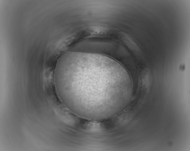 X0000111040276200907091616