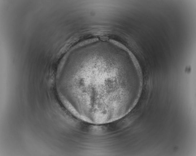 X0000111040277200907091616