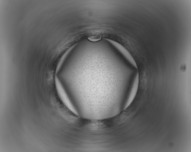 X0000111040278200907091616