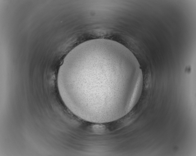 X0000111040279200907091616