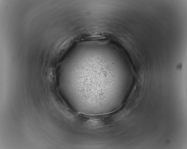 X0000111040280200907091616