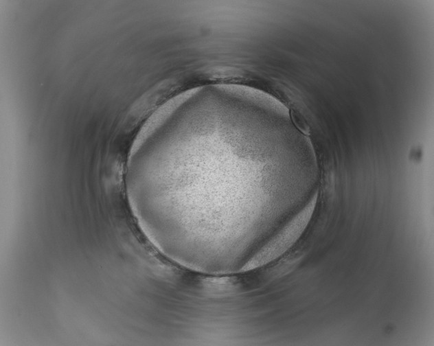 X0000111040281200907091616