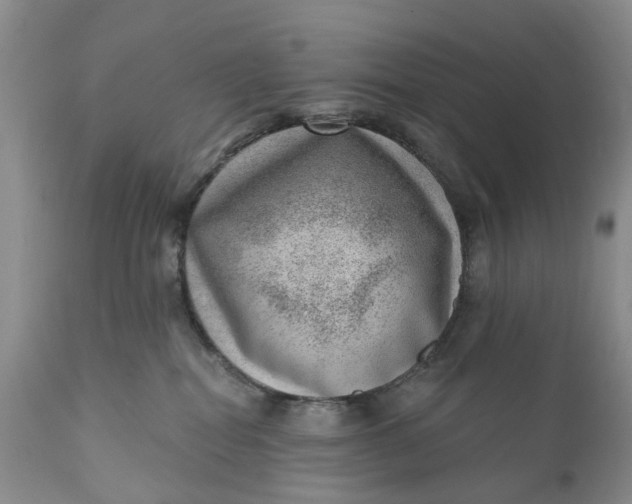 X0000111040282200907091616