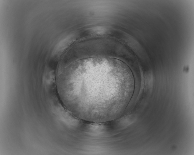 X0000111040284200907091616