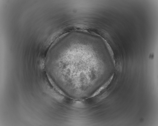 X0000111040285200907091616