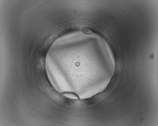 X0000111040286200907091616