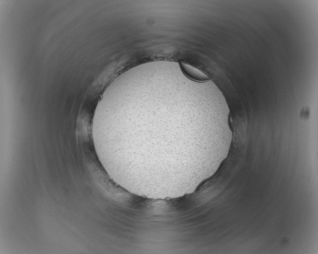 X0000111040287200907091616