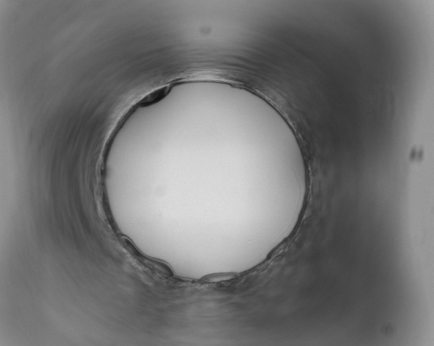 X0000111040289200907091616