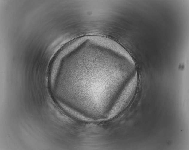 X0000111040290200907091616