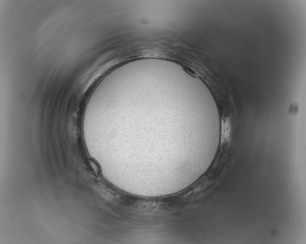 X0000111040291200907091616