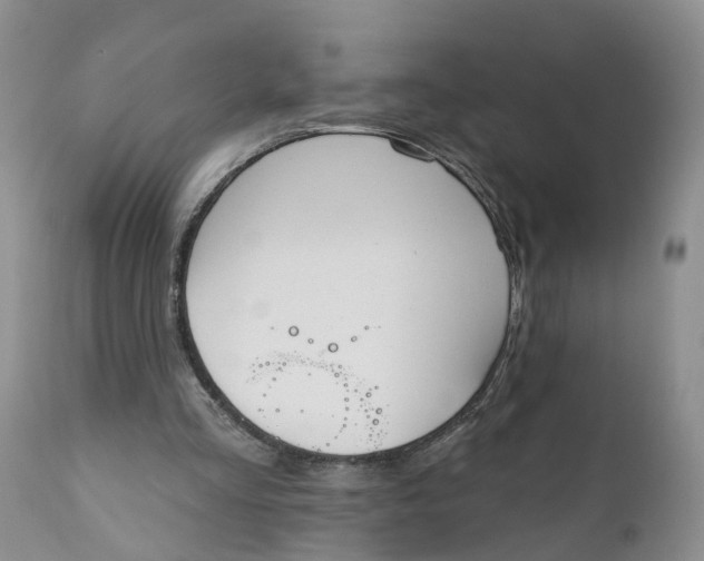 X0000111040293200907091616