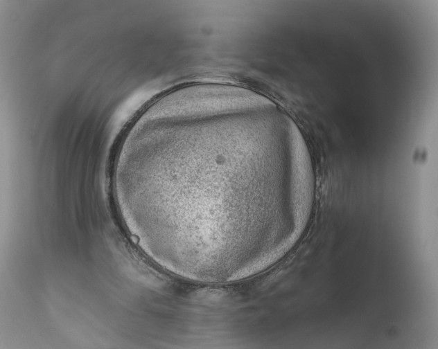 X0000111040294200907091616