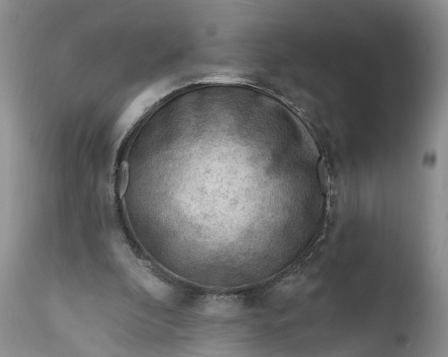 X0000111040296200907091616