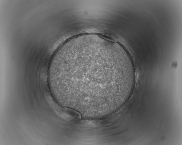 X0000111040297200907091616