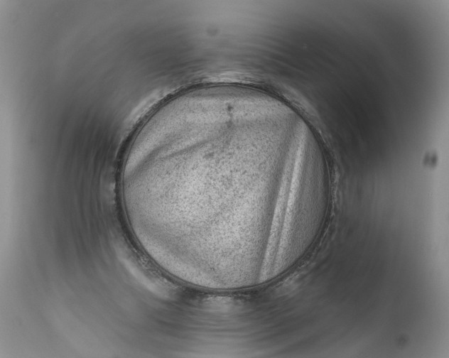 X0000111040298200907091616