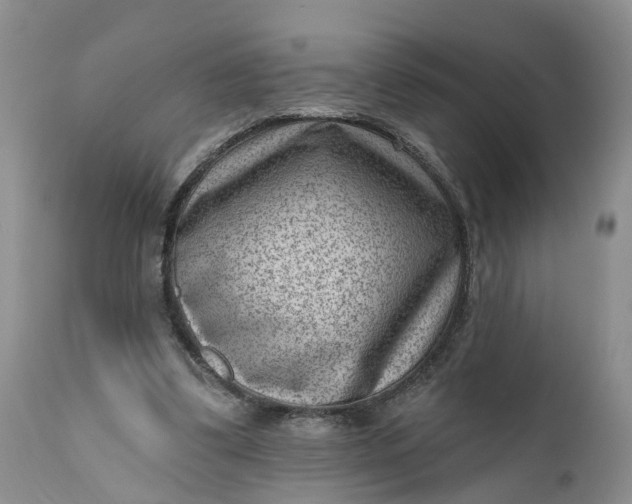 X0000111040299200907091616