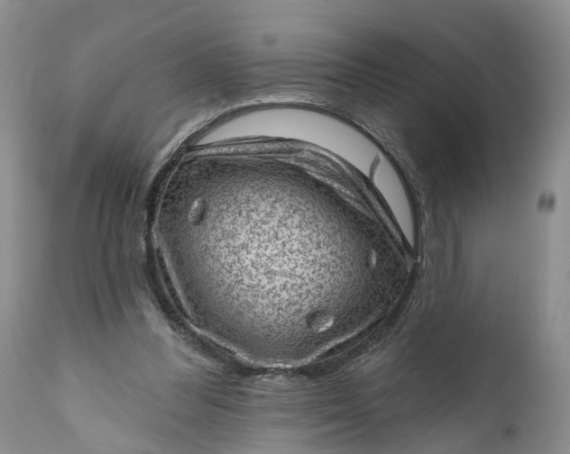 X0000111040300200907091616