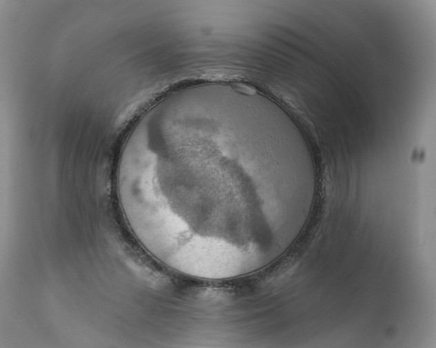 X0000111040303200907091616