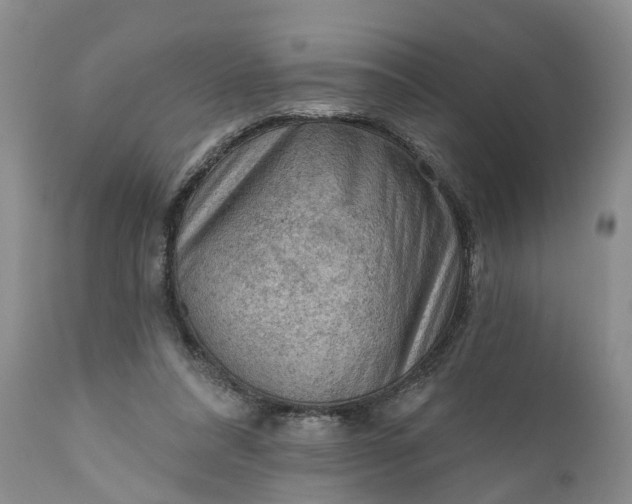 X0000111040304200907091616