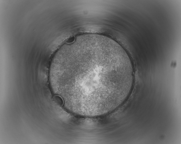 X0000111040305200907091616