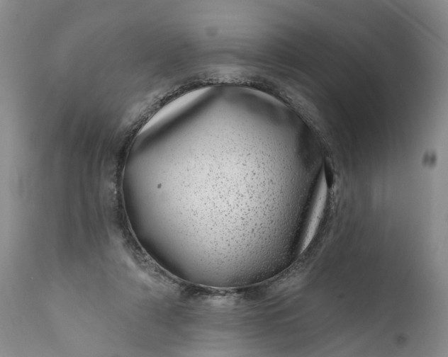 X0000111040306200907091616