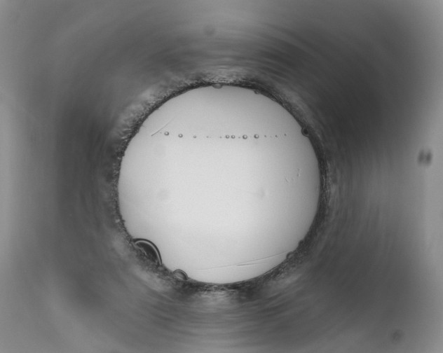 X0000111040307200907091616