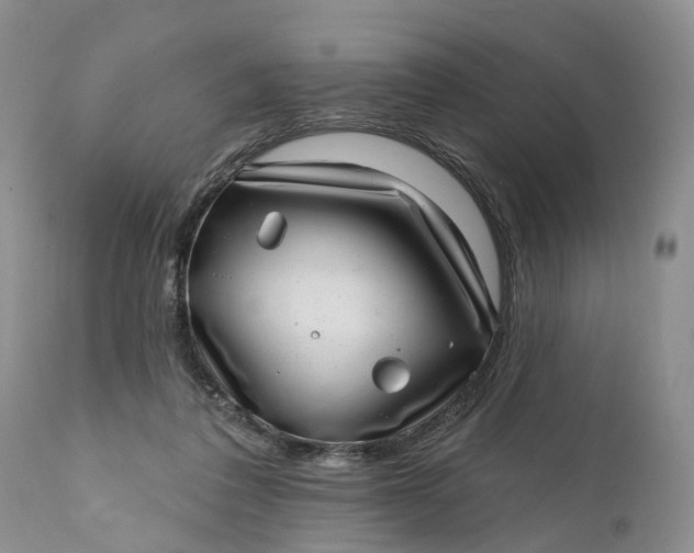 X0000111040308200907091616