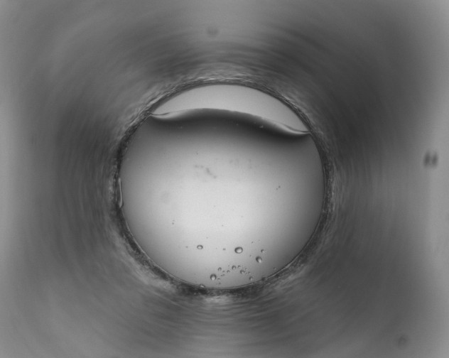 X0000111040309200907091616