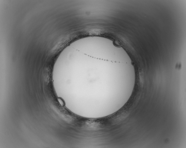 X0000111040311200907091616