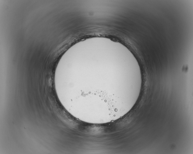 X0000111040313200907091616