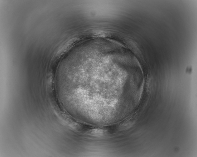 X0000111040314200907091616