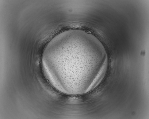 X0000111040315200907091615