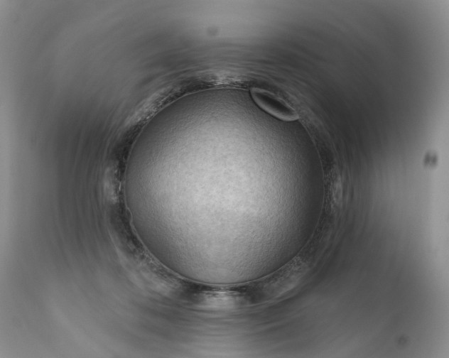 X0000111040316200907091615