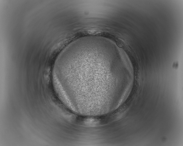 X0000111040319200907091615