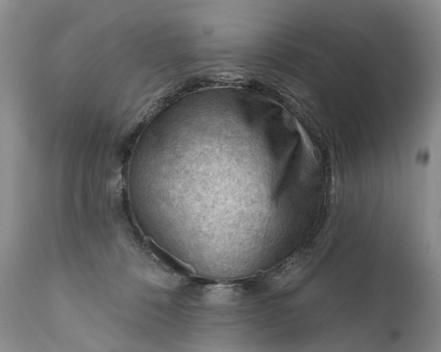 X0000111040320200907091615