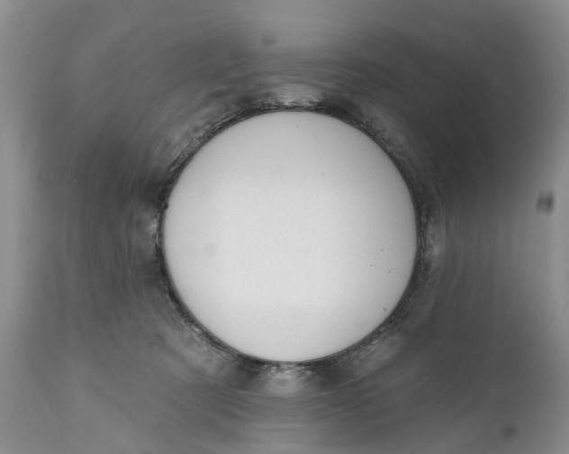 X0000111040321200907091615