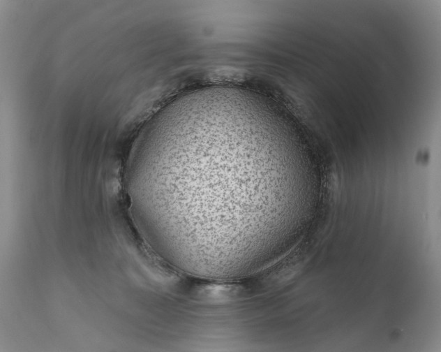 X0000111040323200907091615