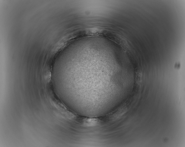 X0000111040324200907091615