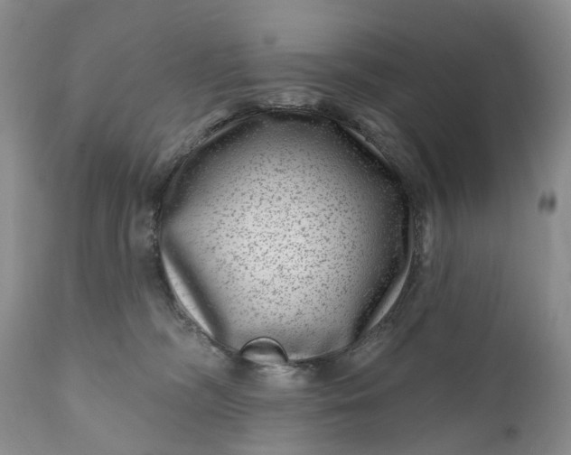 X0000111040326200907091615