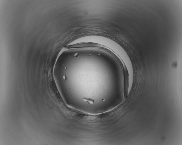 X0000111040327200907091615