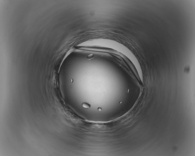 X0000111040328200907091615