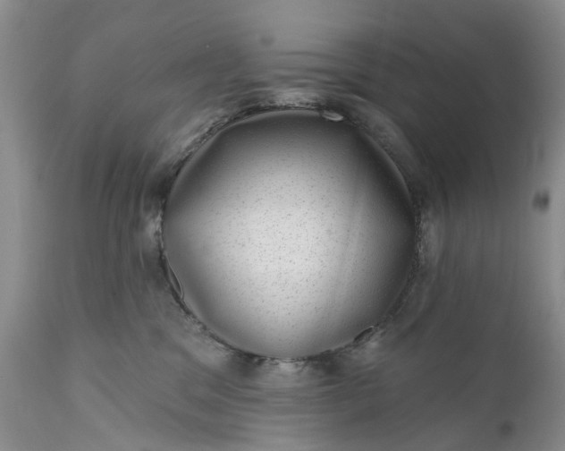 X0000111040329200907091615