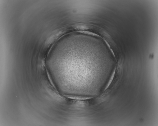 X0000111040330200907091615