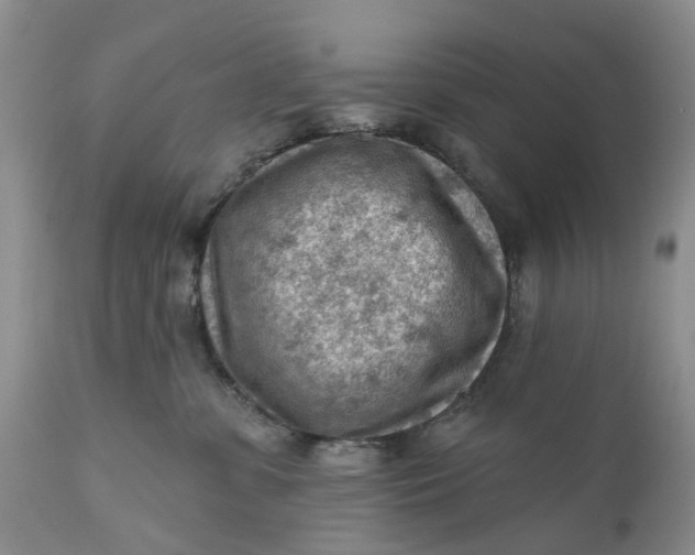 X0000111040331200907091615