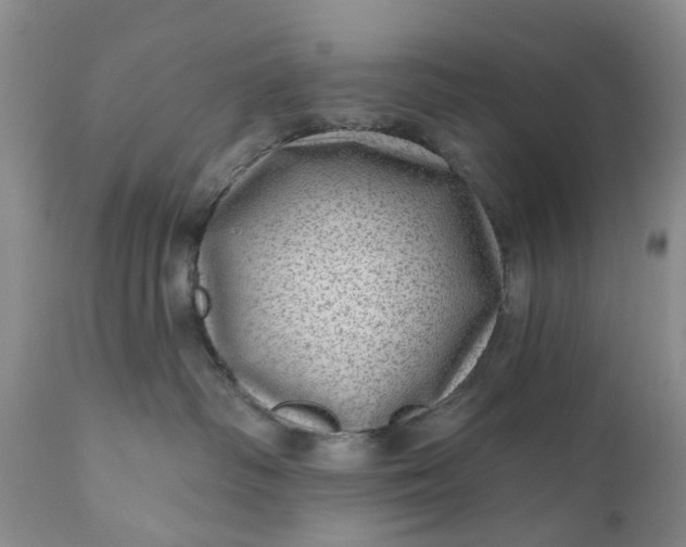 X0000111040334200907091615