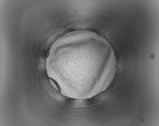 X0000111040335200907091615