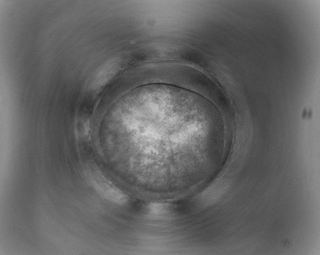 X0000111040336200907091615